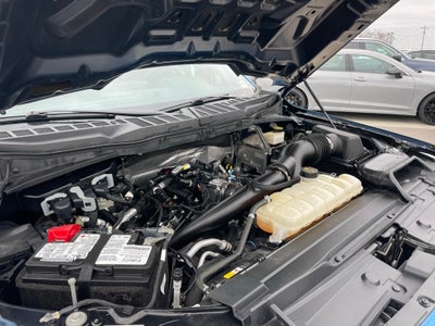 2021 Ford F-150 XL - 4WD / STX APPEARANCE PKG