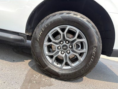 2025 Ford Expedition Active CARFAX 1-OWNER