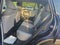 2025 Toyota RAV4 XLE One Owner, Low Miles
