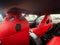 2022 Ford Mustang Mach 1