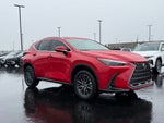 2024 Lexus NX 250 Base