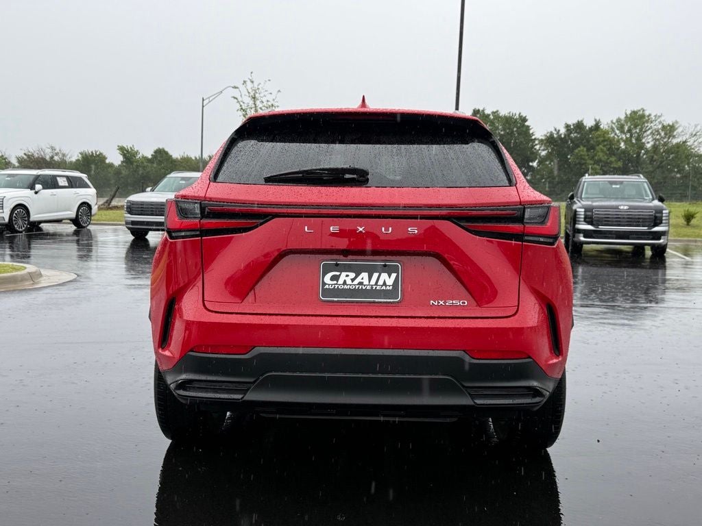 2024 Lexus NX 250 Base