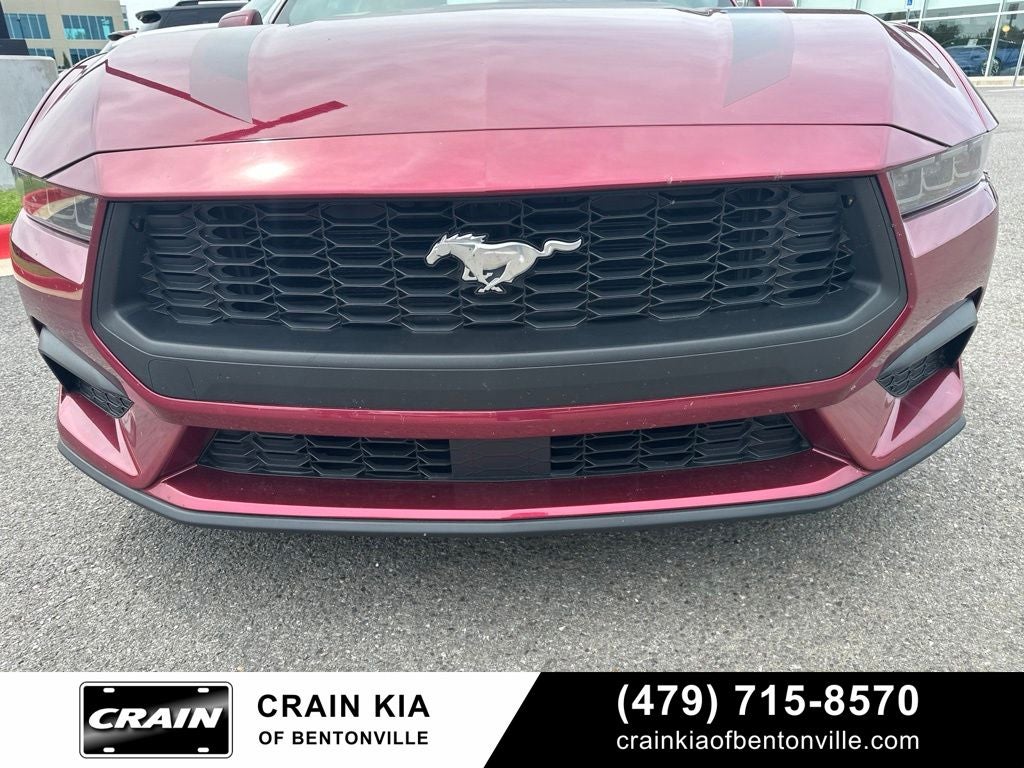 2025 Ford Mustang EcoBoost - CLEAN CARFAX / ONE OWNER