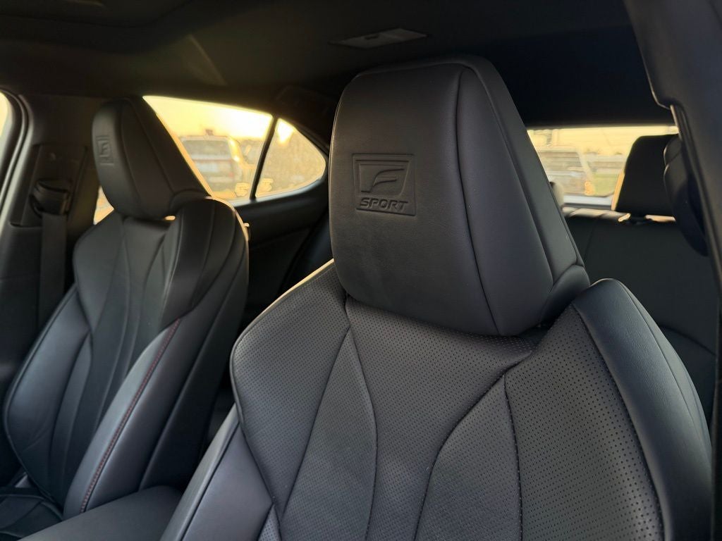 2019 Lexus UX 200 F SPORT